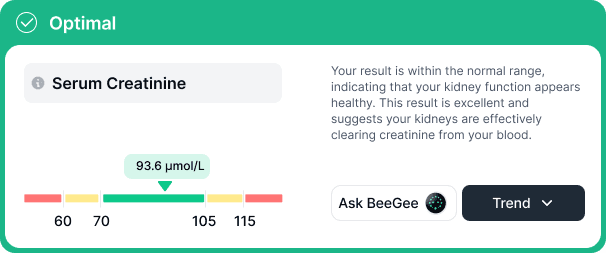 Example of personalized Vitrubo health report showing clear insights and recommendations based on blood test results